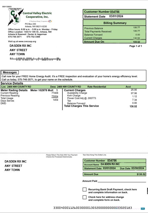 Download USA CENTRAL VALLEY ELECTRIC business utility bill Word and PDF template Photoshop template